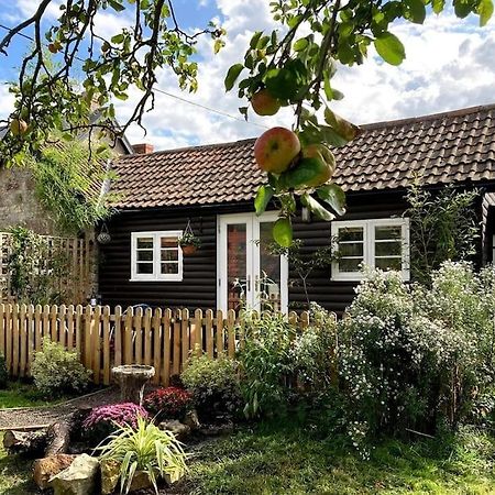 Cosy Studio Retreat In Wells, Somerset Zewnętrze zdjęcie